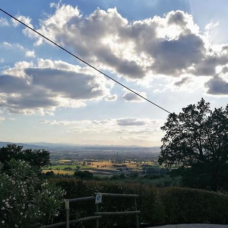 Camere Da Anna Maria Assisi Buitenkant foto